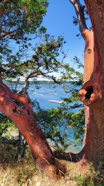 Anchorage Inn B&B Coupeville Luaran gambar